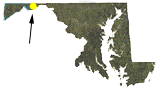 Map of Maryland showinf approximate location of Belle Grove WMA in Allegany County