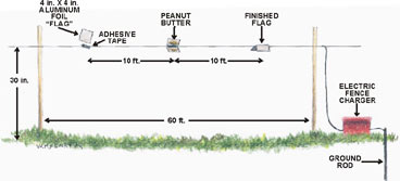 illustration of deer baited electric fence