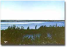 Deal Island Impoundment