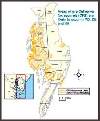 Delmarva Fox Squirrel Map