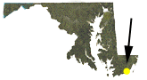 Maryland map showing approximate location of Pocomoke River WMA