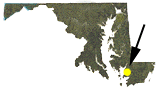 Maryland map showing approximate location of Ellis Bay WMA