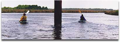 Kayakers going under a bridge