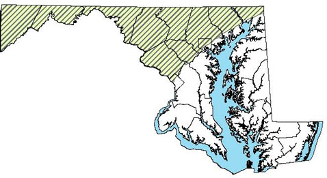 Maryland Distribution Map of Northern Slimy Salamander