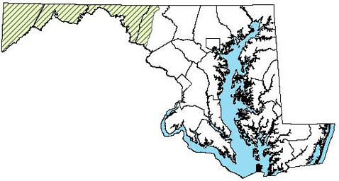 Maryland Distribution Map of Northern Spring Salamander