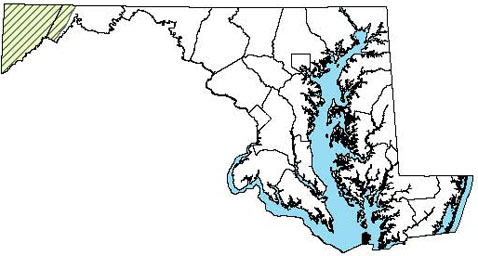 Maryland Distribution Map for Allegheny Mountain Dusky Salamander