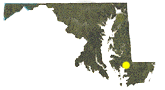 Simple location map showing Nanticoke River WMA in relationship to the state of Maryland