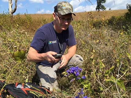 Biologist in the field