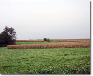 Photo of west side of Old Bohemia WMA