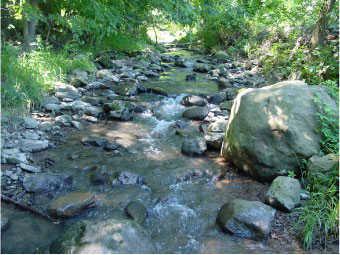 Habitat photo for Eastern Hellbender courtesy of Matt Kline