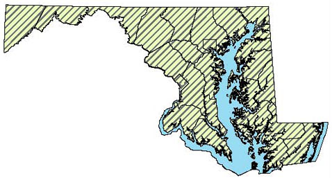 North American Racer - Distribution in Maryland