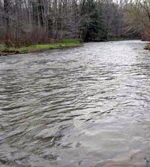 Photo of Habitat for Queensnake courtesy of Jay Kilian