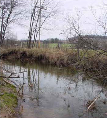 Photo of Habitat for Eastern Spiny Softshell courtesy of Matt Sell.