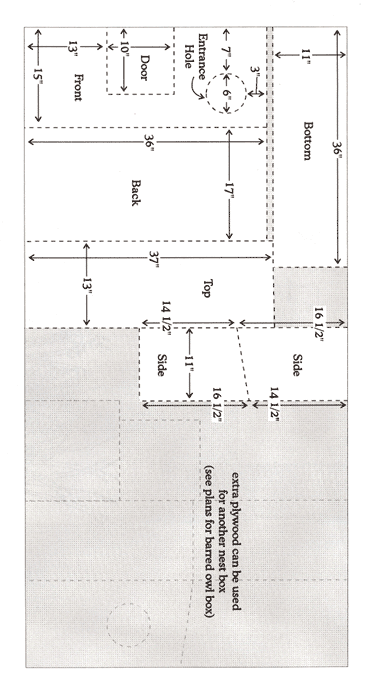 Illustration of cutting layout for Barn Owl Nest Box