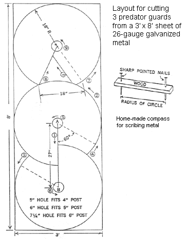 Layout for cutting metal for cone-shaped predator guard