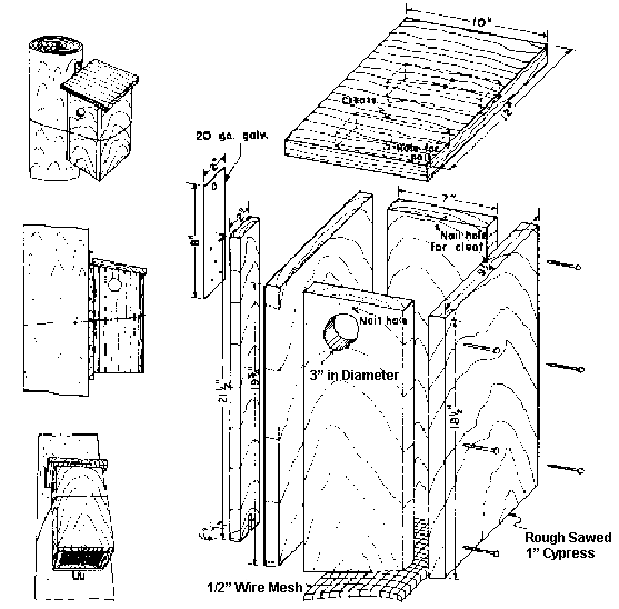 Squirrel Box Nest Plan Illustration