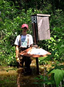 Will Jeffrey, 2006 Summer Intern, St. James High School