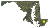 Map of Maryland showing approximate location of the Johnson WMA in southern Wicomico County